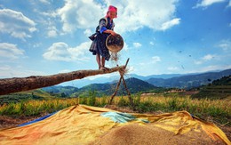 Triển lãm ảnh Chào Tây Bắc