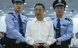 Tòa Trung Quốc chấp nhận cho Bạc Hi Lai kháng án