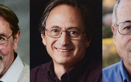 Nobel tôn vinh 3 chuyên gia hóa học phân tử