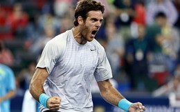 Hạ gục Nadal, Del Potro vào chung kết với Djokovic