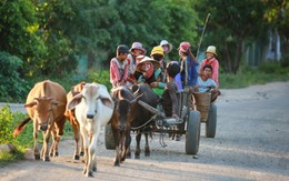Nụ cười Tây nguyên