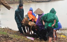 Phát hiện thi thể một phụ nữ bị mắc vào lưới
