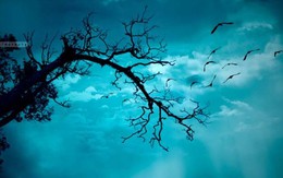 Khúc tình ca chuyển mùa