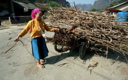 Công việc ngày thường