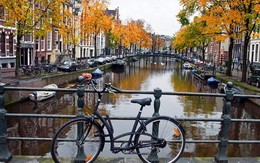 Khi bạn có nửa ngày ở Amsterdam