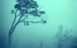 Người đưa tôi đến miền đất hứa
