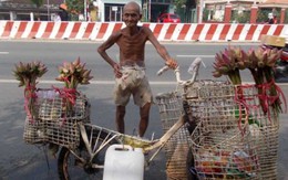Cụ già bán hoa sen