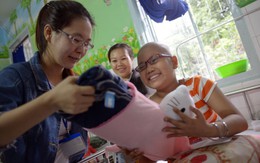 Cho cánh đồng hướng dương nở mãi