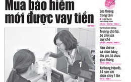 Tuổi Trẻ ngày 14-11 đặc biệt với những tin bài nóng