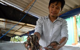 Chàng thợ hồ học làm tiếp thị