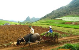 Trên thảo nguyên