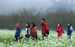 Mộc Châu, mùa hoa trở lại