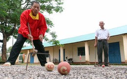 Niềm vui với bóng cửa