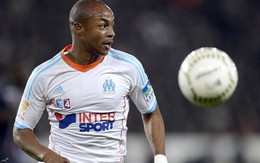 Marseille mất Ayew 2 tháng