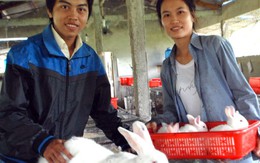 Hai cử nhân kiến trúc khởi nghiệp từ... thỏ