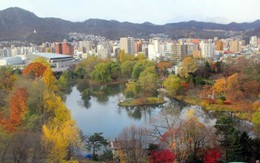 Sắc lá cuối thu ở Sapporo