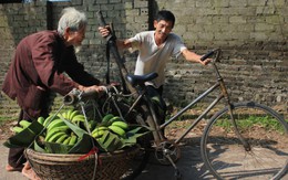Tiếp sức (giải nhì)