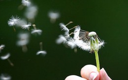 "Cuộc sống này quý giá lắm...!"