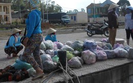 Biển động dữ dội, Lý Sơn bị cô lập với đất liền