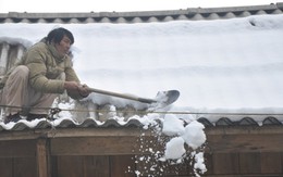 Y Tý, Ô Quý Hồ vẫn ngập trong tuyết