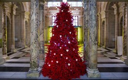 Những cây thông Noel độc đáo của năm 2013