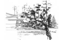 Con đường có hoa thạch thảo