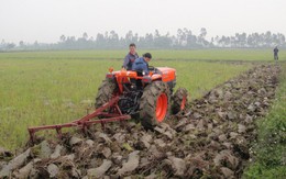 Hãy mở đường cho tích tụ ruộng đất