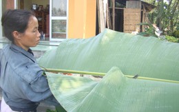 Gìn giữ hồn tết cùng má