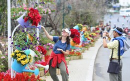 Festival hoa Đà Lạt 2013 khai hội