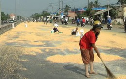 Một số người lại "hôi bắp"