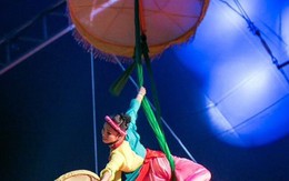 Xiếc "quên" khán giả trưởng thành?