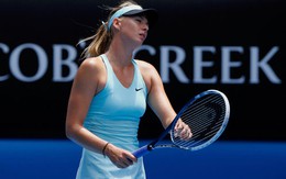 Sharapova bị loại vì chấn thương