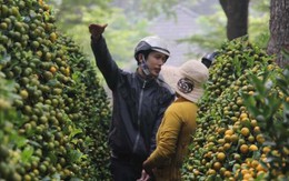 Tết Giáp Ngọ 2014: thời tiết cả nước "đẹp như mơ"