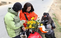 "Chọn" bạn đồng hành du xuân