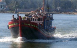 Ngư dân Quảng Ngãi ra khơi mấy tiếng, trúng đậm "lộc biển"