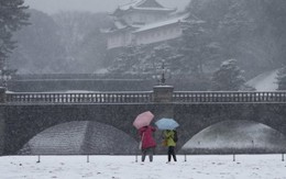Mưa tuyết đổ xuống Tokyo, hàng trăm chuyến bay bị hủy