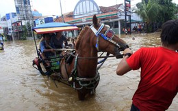 Jakarta úng ngập vì... rác