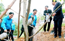 Tuổi trẻ trồng 700.000 cây xanh