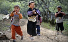 Vũ điệu mùa xuân