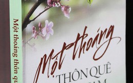 Một thoáng thôn quê Việt Nam