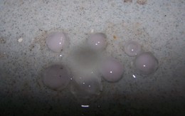 Giông lớn kèm mưa đá như rải bắp ở Kon Tum