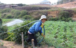 Xây Lò phản ứng hạt nhân mới: Lo vỡ quy hoạch Đà Lạt