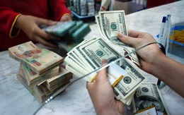 Tín dụng đã tăng trở lại