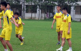 Thông tin cầu thủ Ninh Bình bán độ ở V-League chưa chính xác