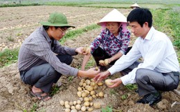 Cần sự đồng thuận từ cơ sở