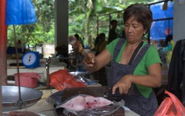 Đi chợ hải sản ở El Nido