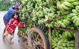 "Bóng ma" đói nghèo còn lởn vởn