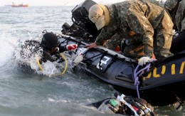 Thủy thủ phà Sewol khẳng định được lệnh rời phà
