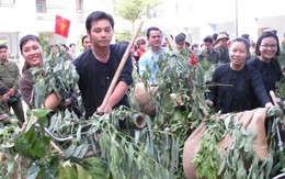 Vũ hội diễu hành "âm vang Điện Biên"