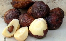 Ăn salak hãy nhớ đến Indonesia